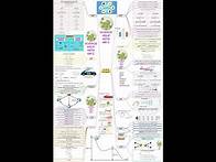 Video thumbnail for Year 8 Physics (Energy)