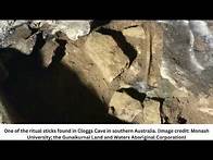 Video thumbnail for Australian cave reveals 12,000-year-old culturally transmitted sorcery