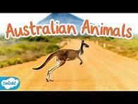 Video thumbnail for What Are Native Animals of Australia? All About Australian Animals for Kids
