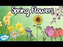 Video thumbnail for Flowers in Spring Identification for Kids! | 7 Spring Flowers 🌷