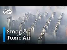 Video thumbnail for How much does smog and air pollution shorten our lives? | DW News