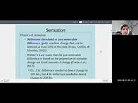 Video thumbnail for Psychology 101 Chapter 5 (Sensation & Perception) Lecture Part 1