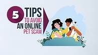 Video thumbnail for Avoid an Online Pet Scam
