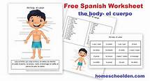 Video thumbnail for Free Spanish Worksheet: Parts of the Body - El Cuerpo - Homeschool Den