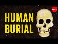 Video thumbnail for What happens to our bodies after we die? - Farnaz Khatibi Jafari