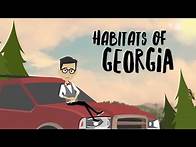 Video thumbnail for Habitats of Georgia - Educational Social Studies & Science Video for Elementary Students & Kids