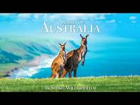 Video thumbnail for Animals of Australia 4K - Scenic Wildlife Film With Calming Music