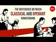 Video thumbnail for The difference between classical and operant conditioning - Peggy Andover
