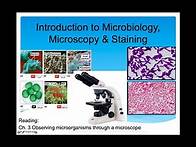 Video thumbnail for Introduction to Microbiology Lecture, Microscopy & Staining (Part 1)