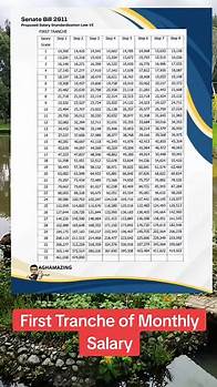 Video thumbnail for Understanding Salary Grades and Scales in 2024 and 2025