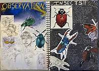 Video thumbnail for Analysing and evaluating - Analysing and evaluating - AQA - GCSE Art and Design Revision - AQA - BBC Bitesize