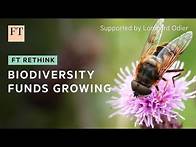 Video thumbnail for Biodiversity funds are springing up in the investor market | FT Rethink
