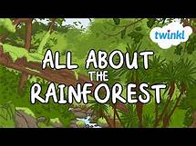Video thumbnail for Rainforest Fun Facts for Kids | World Rainforest Day | Twinkl USA