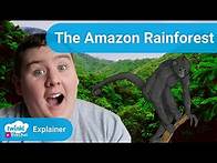 Video thumbnail for What is the Amazon Rainforest? | Fun Activities for Kids