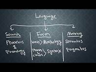 Video thumbnail for SEMANTICS-1: What is Semantics?