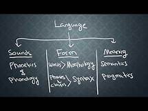 Video thumbnail for SEMANTICS-1: What is Semantics?
