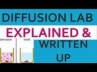 Video thumbnail for How to write a lab report for biology made simple : Writing lab reports