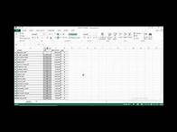 Video thumbnail for How to Arrange Names Alphabetically & Sort Males and Females in Excel