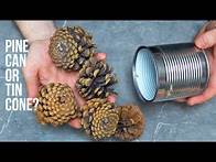 Video thumbnail for Just get a tin can, pine cones, and you've got yourself a real masterpiece! tin can craft cone craft