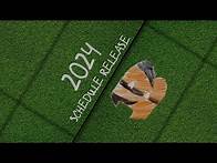Video thumbnail for 2024 Bengals Schedule Release