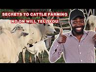 Video thumbnail for 8 TIPS YOU NEED TO SUCCEED IN CATTLE FARMING | LIVESTOCK FARMING IN AFRICA