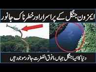Video thumbnail for Animals of Amazon Jungle | Amazon Rainforest Documentary in Urdu Hindi