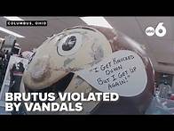 Video thumbnail for Brutus Buckeye statue vandalized outside OSU campus store