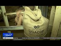 Video thumbnail for Uganda records surge in value of coffee exports