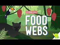 Video thumbnail for Food Webs: Crash Course Kids #21.2