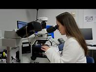 Video thumbnail for University of Florida Department of Pathology Resident Program