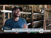Video thumbnail for RABBIT FARMING IN UGANDA