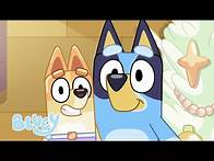 Video thumbnail for 🔴 Live: Bluey Series 2 Full Episodes