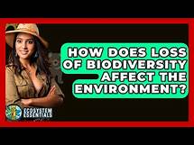 Video thumbnail for How Does Loss Of Biodiversity Affect The Environment? - Ecosystem Essentials