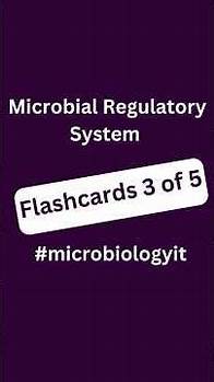 Video thumbnail for Microbial Regulation Flashcards Part 3