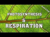 Video thumbnail for Photosynthesis & Respiration (Grade 8 Natural Science)