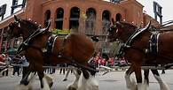 Video thumbnail for Cardinals open 2025 at home vs. Twins, begin season with a slate of interleague series