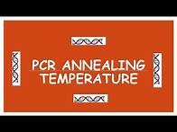 Video thumbnail for PCR Annealing Temperature | Annealing Temperature Facts | How to Calculate Annealing Temperature