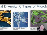 Video thumbnail for Chapter 1 Introduction to Microbiology