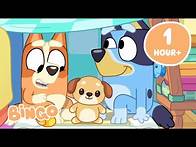 Video thumbnail for Bluey and Bingo Games in the Heeler House 🥰 🧡 | 90 MINUTES | Bingo - Official Channel
