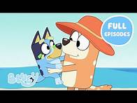 Video thumbnail for Bluey's Sunny Adventure Full Episodes ☀️ | Featuring The Pool, The Beach, and More! | Bluey