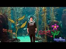 Video thumbnail for 5th Grade Life Science - Virtual Field Trip | California Science Center