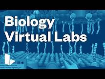 Video thumbnail for Labster Biology Virtual Labs