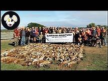 Video thumbnail for What Happens When Animals In Australia Lose Their Habitat? | Invasive Species