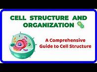 Video thumbnail for CELL STRUCTURE — A Comprehensive Guide