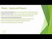 Video thumbnail for Georgia Standards of Excellence - 1st Grade Life Science Standards Explained
