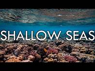 Video thumbnail for Shallow Seas - Continental Shelf, Coral, Plankton and Kelp - Biomes#11
