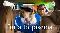 Video thumbnail for Revising Spanish grammar - preterite tense - AQA - GCSE Spanish - AQA (for exams until 2025) - Video - BBC Bitesize