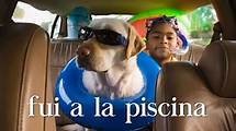 Video thumbnail for Revising Spanish grammar - preterite tense - AQA - GCSE Spanish - AQA (for exams until 2025) - Video - BBC Bitesize