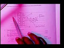 Video thumbnail for Biology Form 2. Questions and Answers..