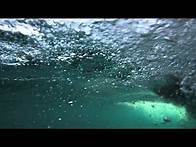 Video thumbnail for The Atlantic Shelfbreak: Using robotic vehicles to observe ocean life